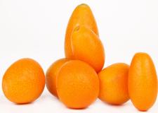 Kumquat che passione